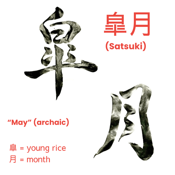 A Japanese calligraphy work of 2 kanji characters, black ink on white, meaning "Satsuki" or "May".